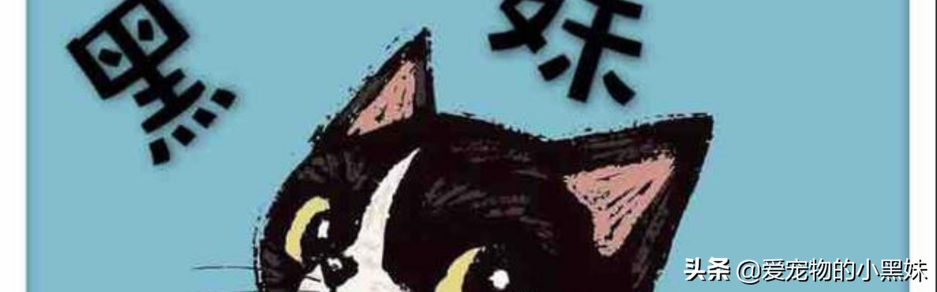 猫得粟粒性皮炎怎么办,猫皮肤病丘疹