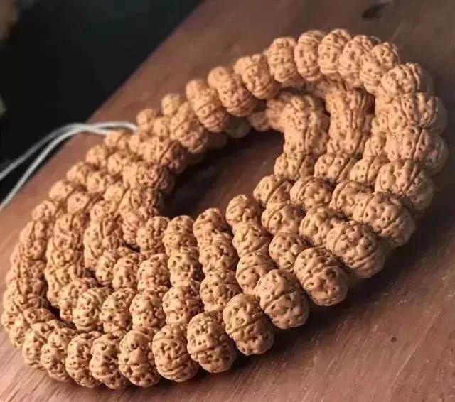 金刚菩提为什么不变色,金刚菩提为什么盘的色不均匀