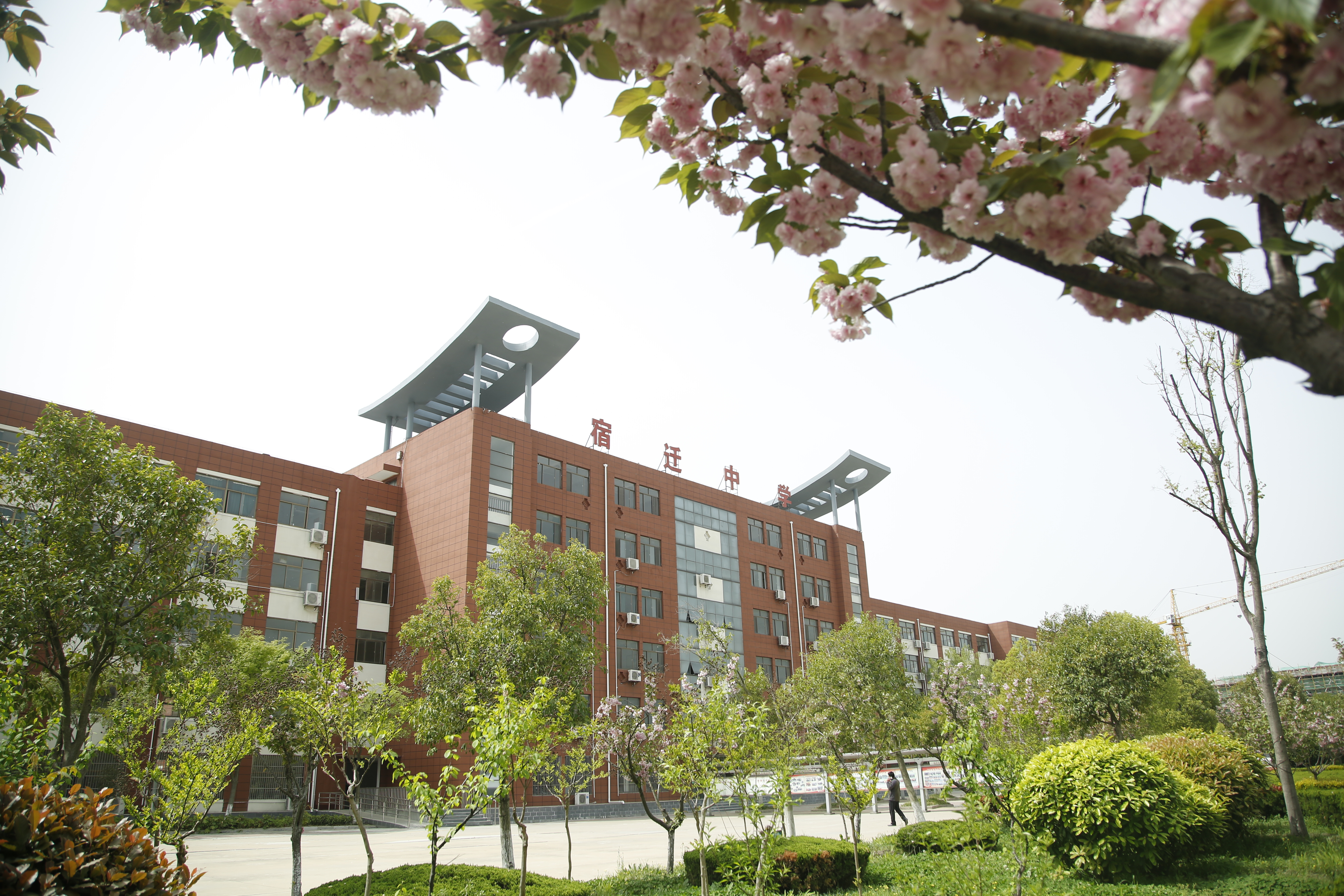 宿迁中学高考成绩2023状元,宿迁市高考文科状元