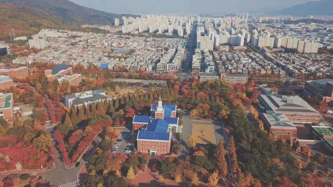 韩国启明大学,启明大学博士