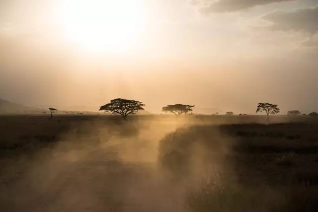 「走进非洲」夜遇猛兽！非洲野生动物园惊魂记