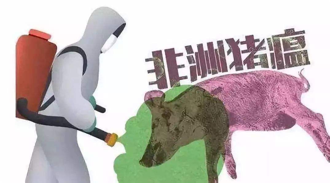 猪场发生疑似非洲猪瘟怎么办？1步、2步、3步，教你正确处理非瘟