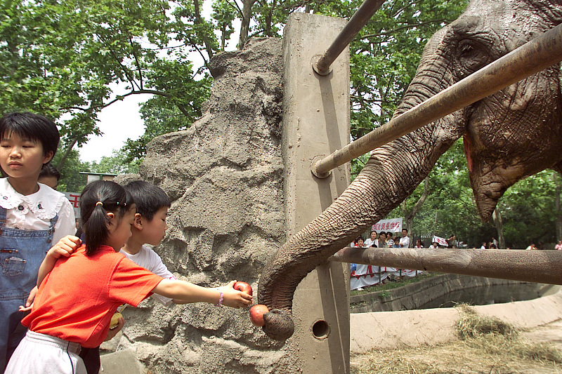 国内值得去的十大动物园,国内最值得去的动物园