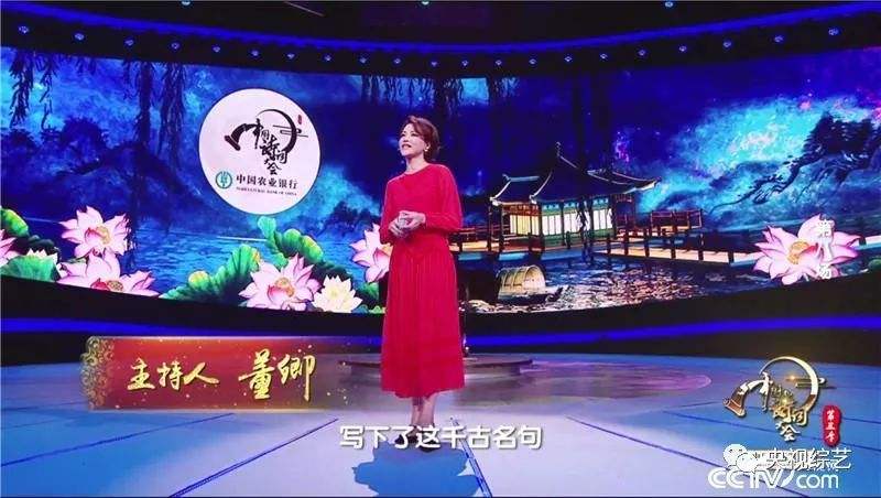 中国诗词大会遇见董卿的开场词,董卿演讲的中国诗词开场诗