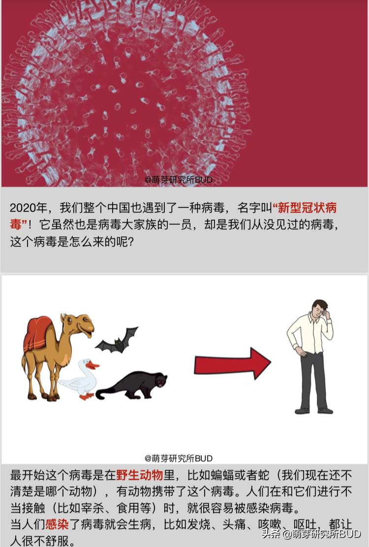 一本简明有趣的科普小书,儿童科普小说推荐