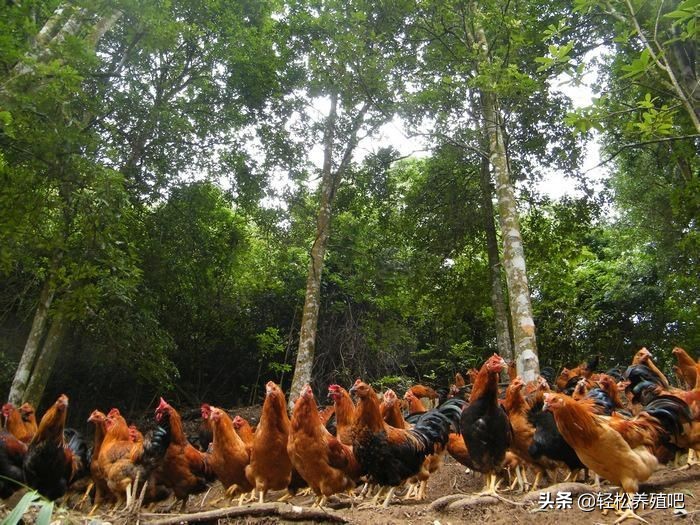 做好这3点你就能活得很好,做好这三点可能改变你的命运
