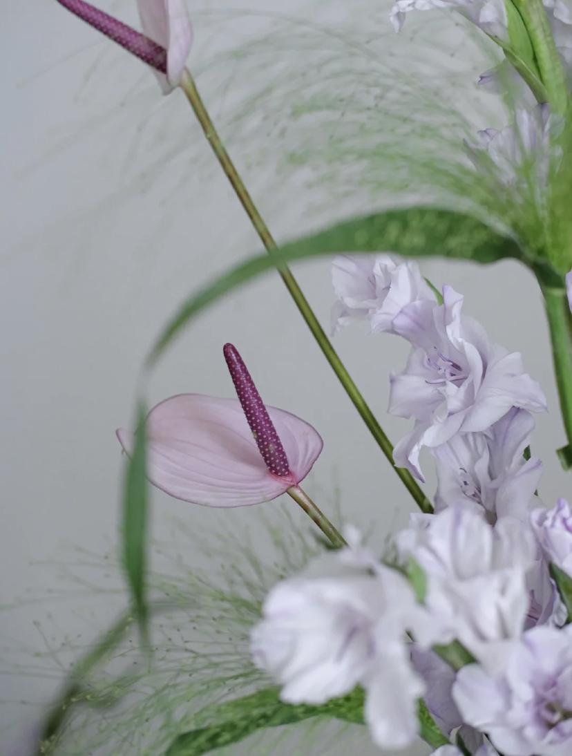 家里要有氛围感什么花比较好,家里高级的花