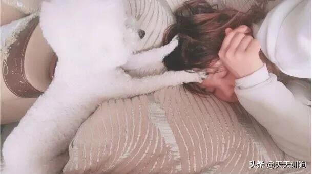 你想对小狗说什么,你想对小狗说什么呢