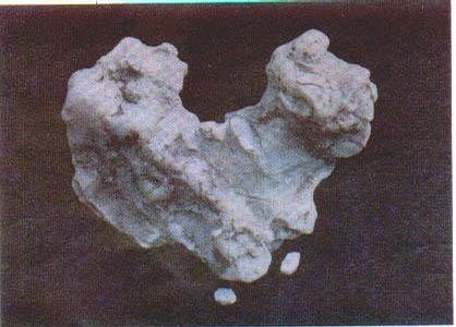 令人印象深刻的小学语文,不同年代的小学课文插图