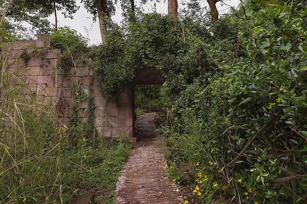 渝北枇杷正黄，冒冒失失穿越铁壁、胜保、斗碗三寨