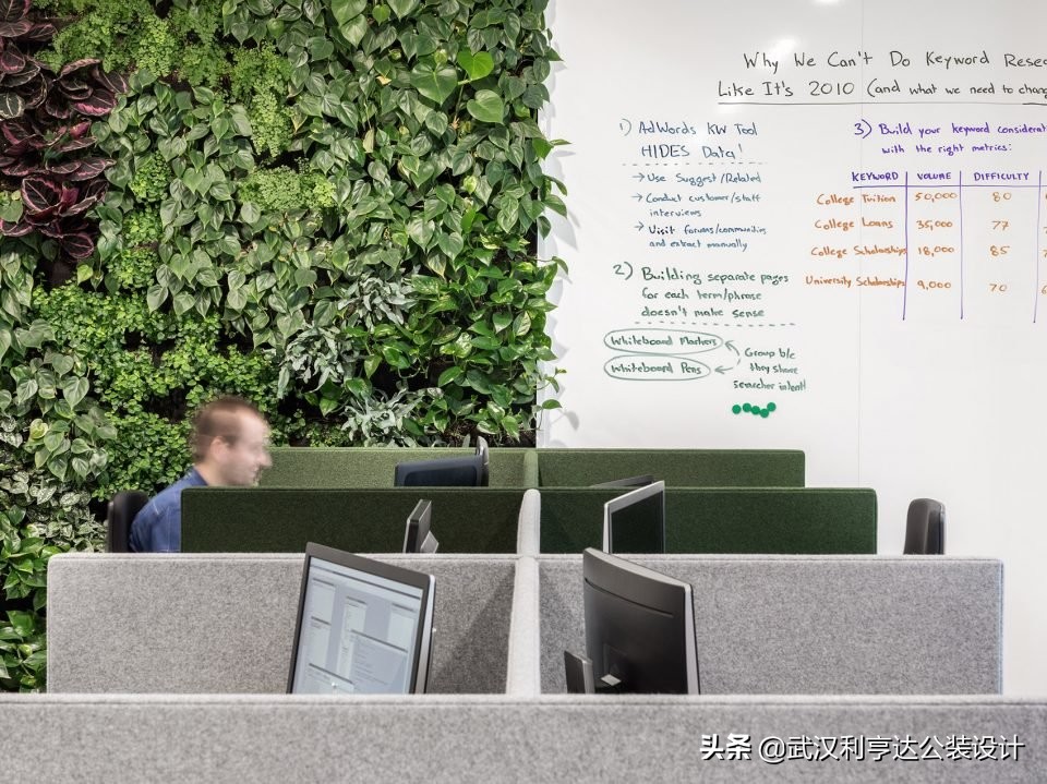 绿意盎然的氛围感,让你的办公环境变得更舒心