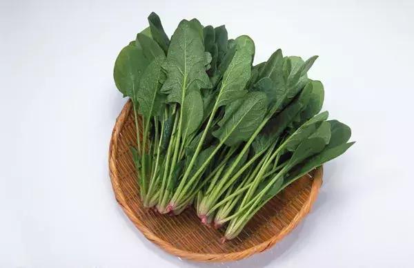 怀孕后，80%你认为需要忌口的食物，其实都可以吃！