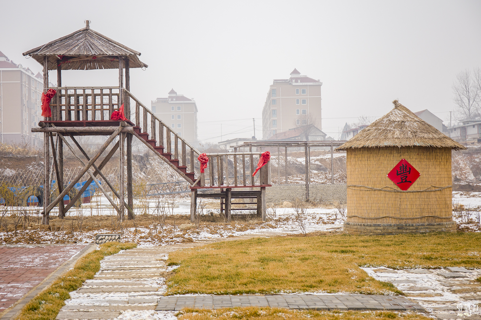 牡蛎生命意义,野生牡蛎的价值