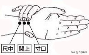 说“尺”道“寸”，说说与古代度量有关的汉字