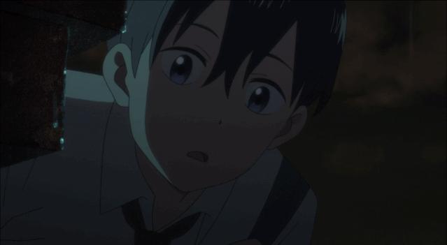 这部温情的撸猫片,让我哭得溃不成军,这是全世界猫*党**的胜利