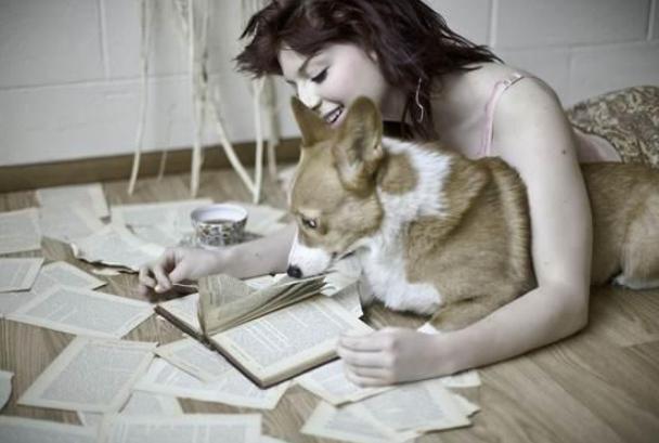 为什么柯基深受英国女王的喜爱,为什么柯基受公狗欢迎