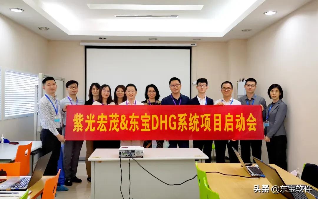 东宝软件系统缺点,东宝软件好用吗