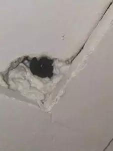 别脱，床边有个摄像头！*拍偷**产业链下，中国人再无隐私