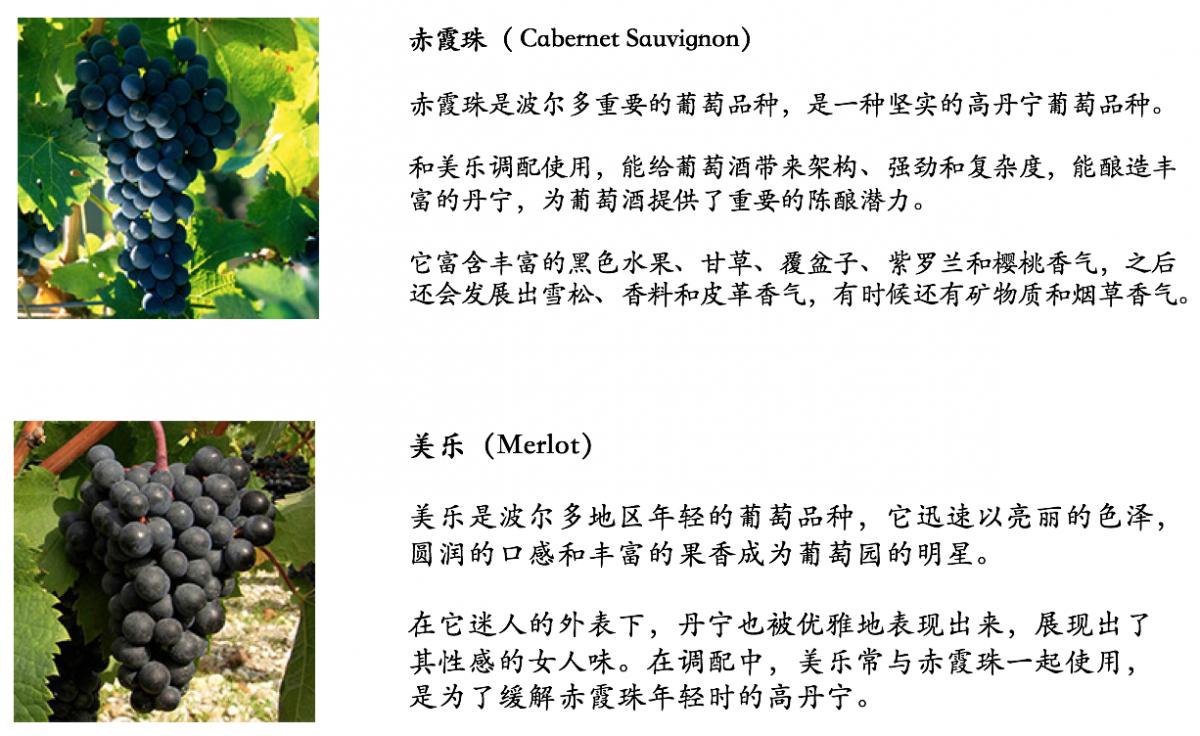 葡萄酒产区分布图高清大图,波尔多著名的甜白葡萄酒产区