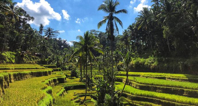 印尼巴厘岛旅游自由行,印尼巴厘岛攻略自由行