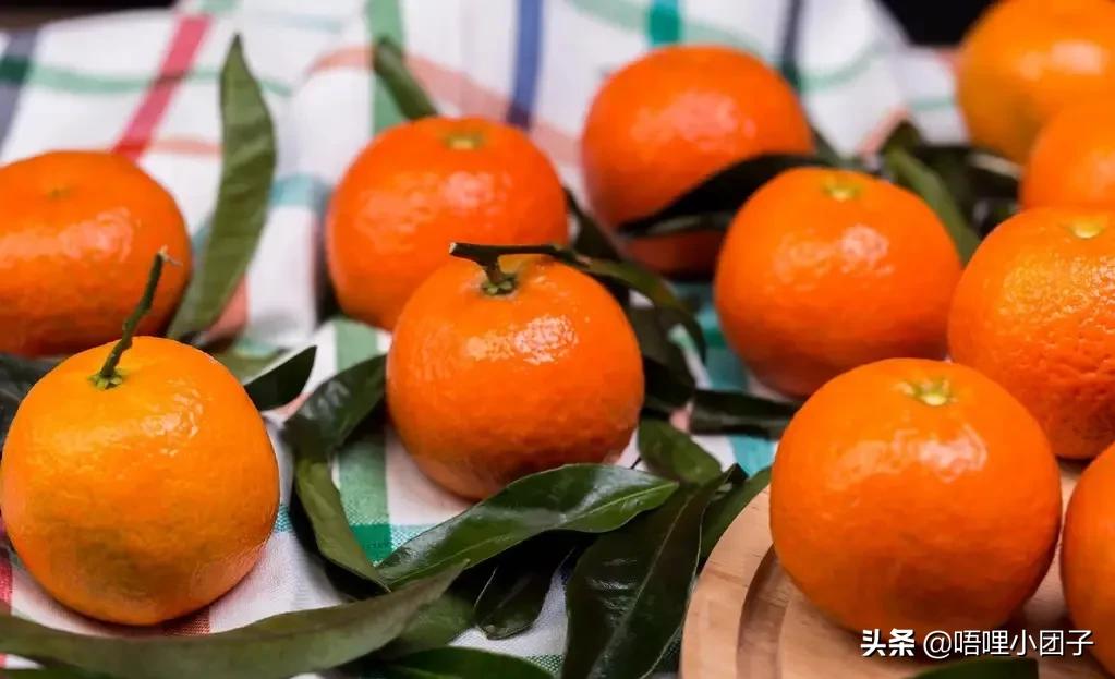 橘子怎么买技巧,橘子怎么挑果肉好的