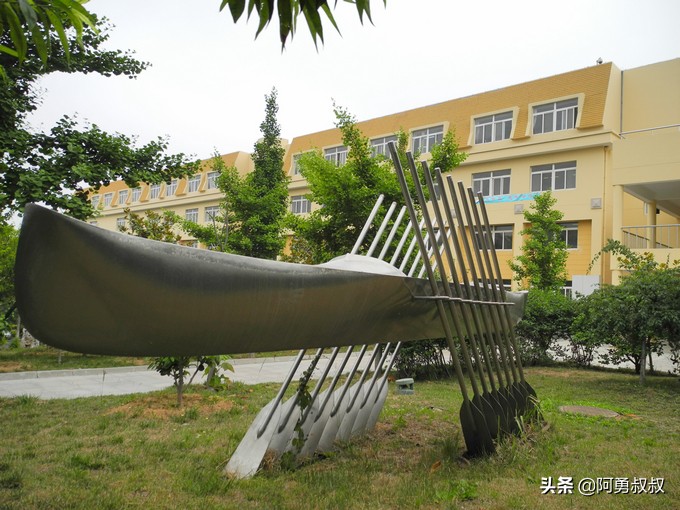 青岛二中2019高考成绩,经验分享大学专业