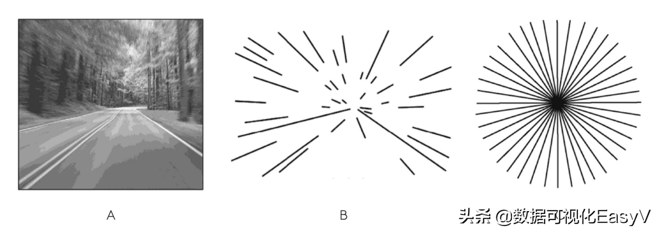 用历史和进化的观点来解释为什么人类喜欢用“饼图”来分析数据