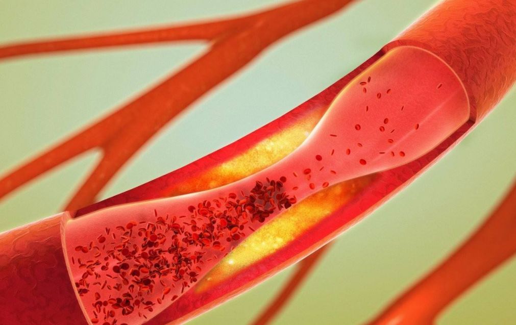 薄荷的解表功效,与薄荷有关的功效