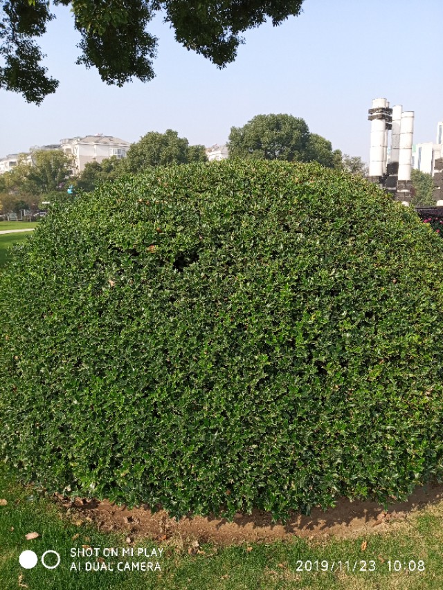 杭州余杭临平历史,杭州记忆工坊在哪里