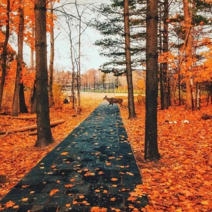 转机落地的国家需要单独办签证吗,在其他国家转机需要签证吗