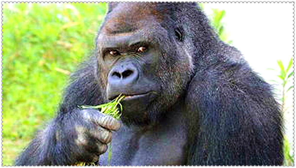 女性被骗的十种套路,男骗子骗已婚妇女的套路