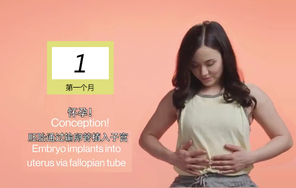 怀胎十月胎儿发育标准注意事项,怀孕30周胎儿发育及注意事项