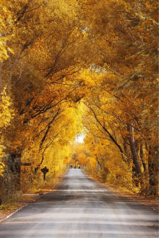 去一次大西北等于远行十次,去宁夏旅游的最佳地方