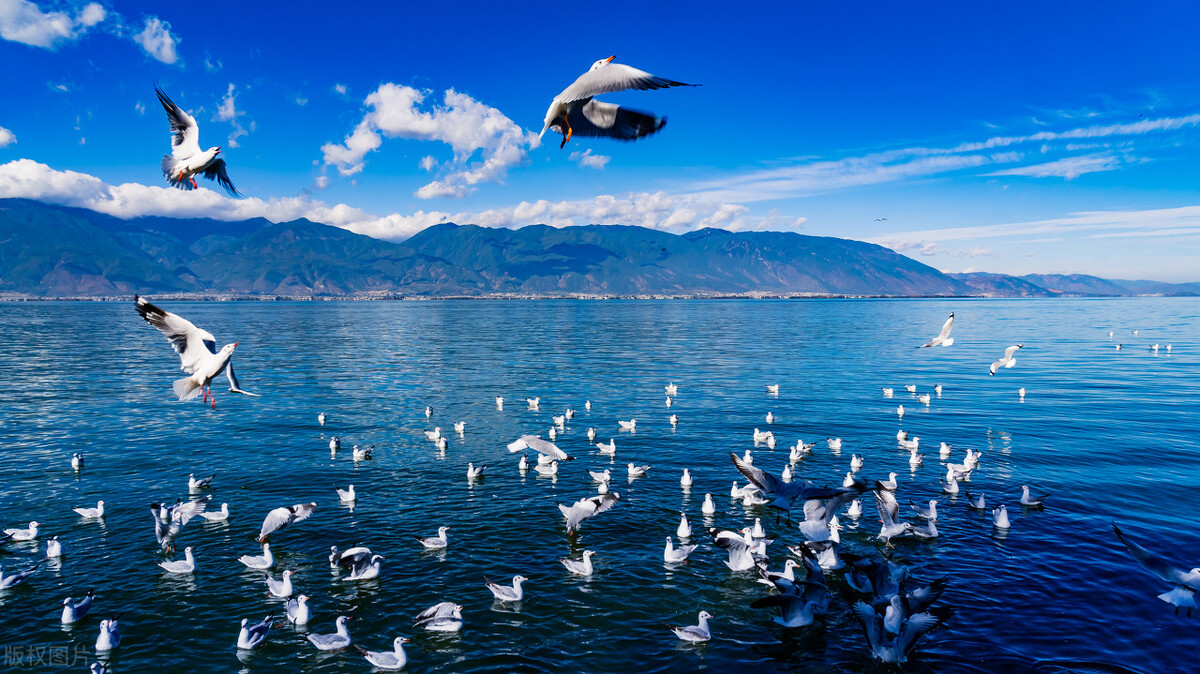 云南的景点真的那么好看吗,云南超美的地方