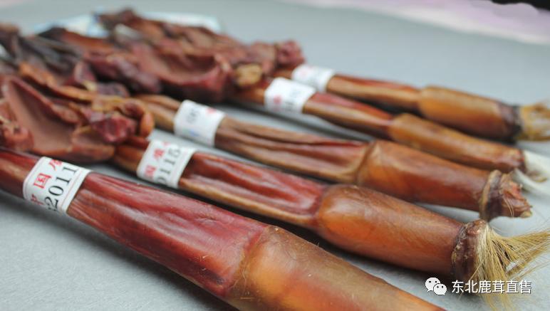 鹿鞭泡酒的功效和作用，适合哪些人群服用？