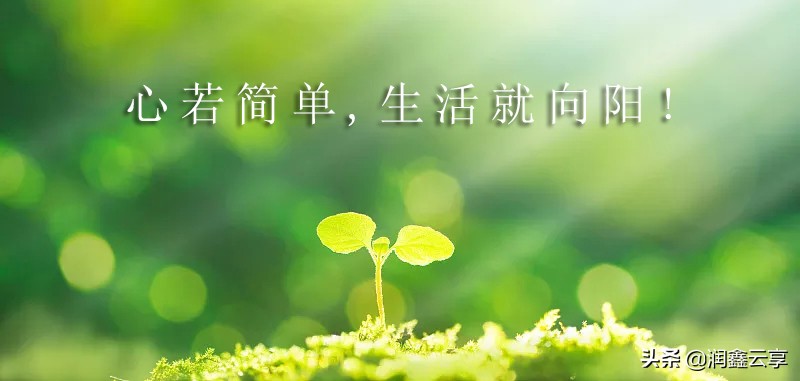 刷牙应该用软毛刷还是硬毛刷,保护牙齿刷牙用硬毛还是软毛