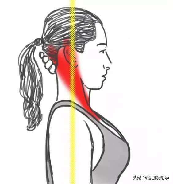 头前引怎么练体态,练瑜伽后显老怎么办