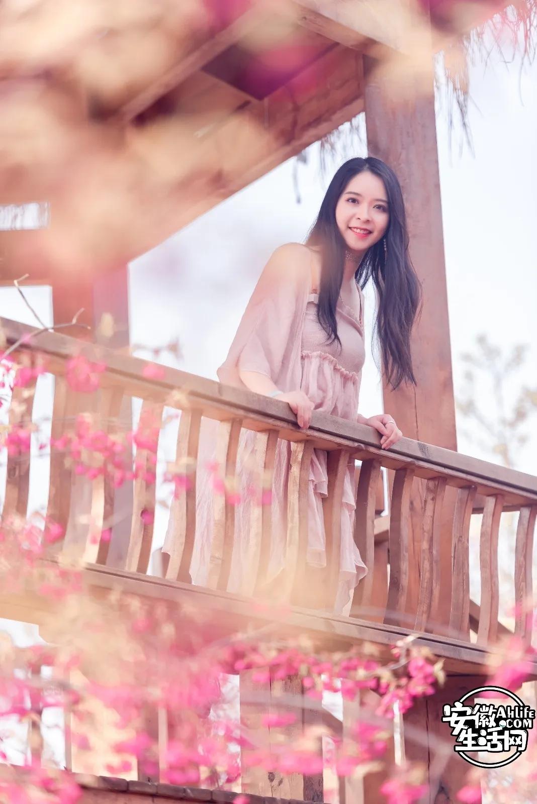 合肥最美的春天景点,合肥春天有哪些好玩的景点