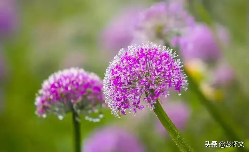 充值卡额外收费的账务处理,加油费充值卡的财税处理