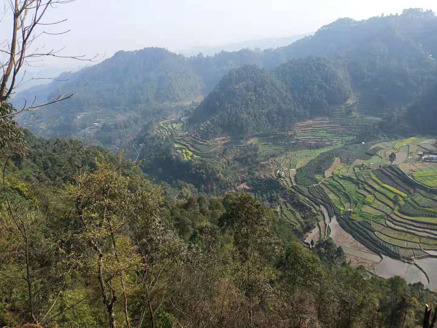 闷恋一一新小说连载,41母亲10000针缝布鞋，草鞋情深