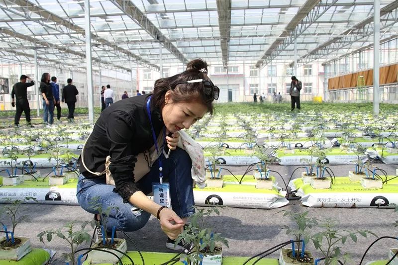 无土栽培和土壤种植技术研究所,农业无土栽培技术培训