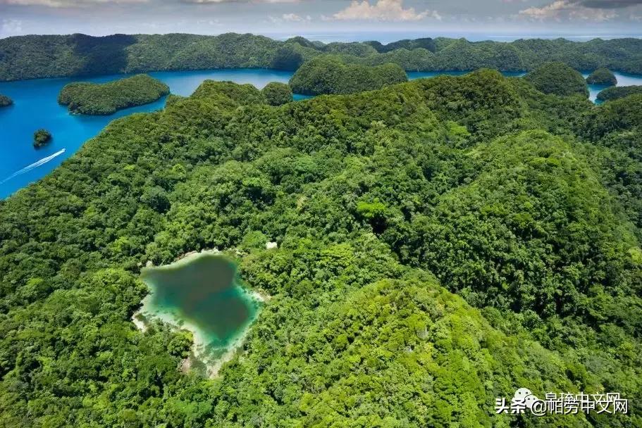 甯曞姵姘存瘝婀栫殑姘存瘝鍙互鎽稿悧,甯曞姵姘存瘝杩樿兘鎶撳悧