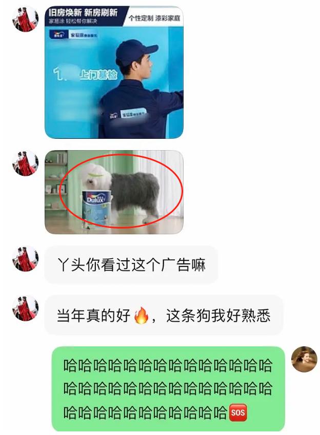 别扒他了,再扒就完犊子了!