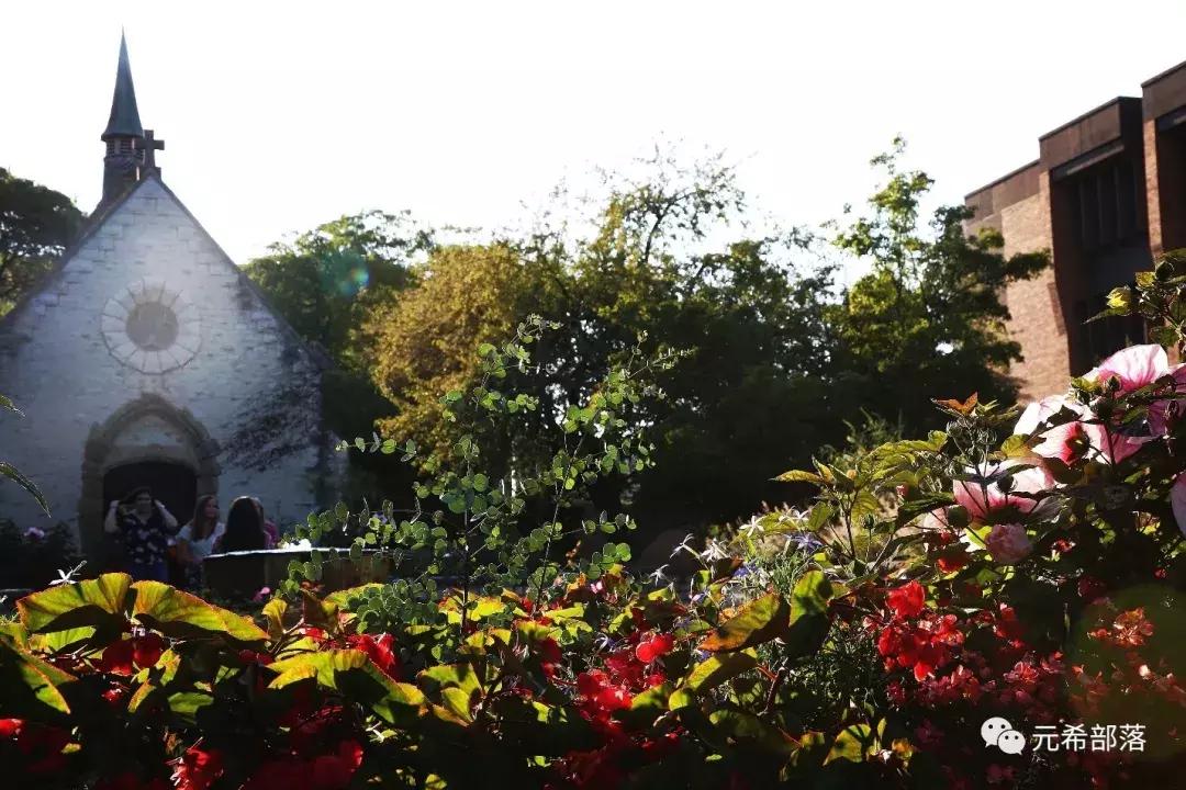 芝加哥及周边的好去处,芝加哥周边游玩