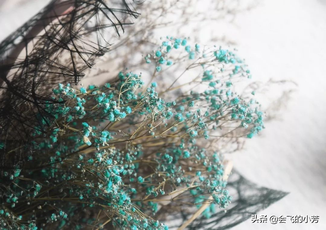 等待只是给自己一个不离开的借口,等待不是为了能回来而是找个借口