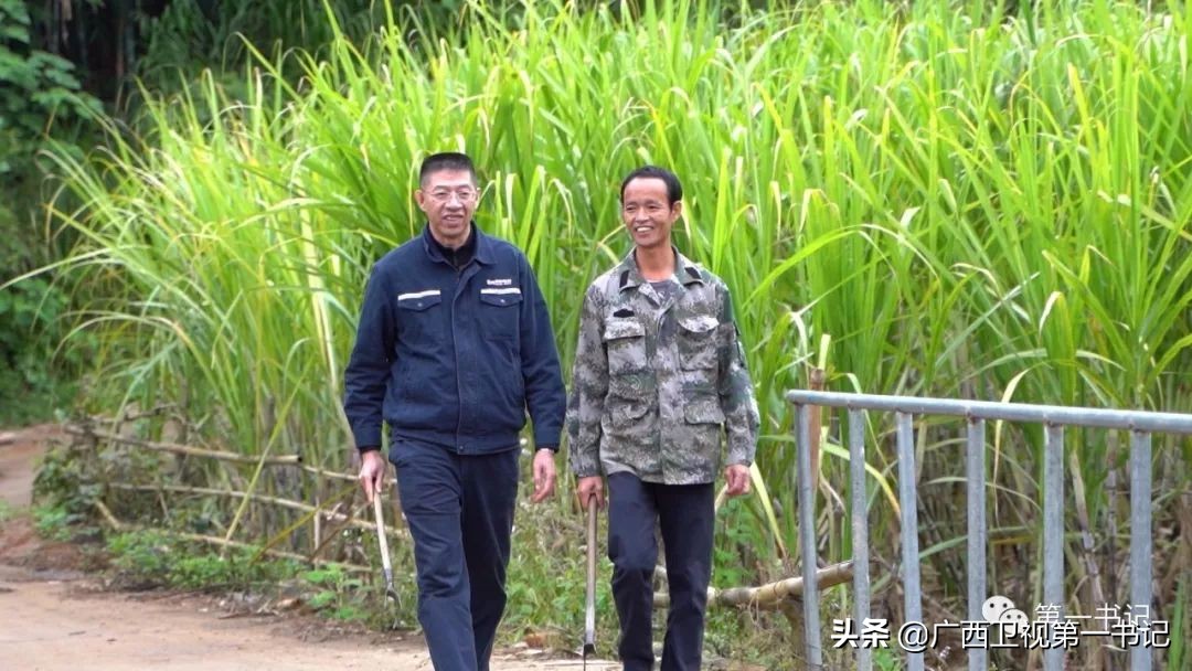 右江河畔好风光,百色右江河畔