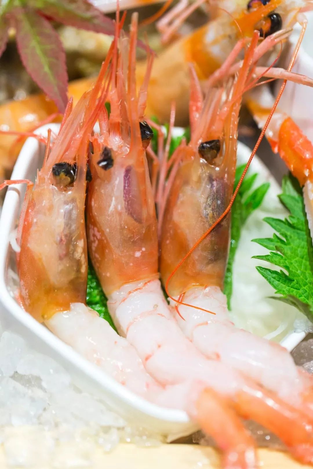 上海端午福利套餐,9.9抵100优惠券日本料理