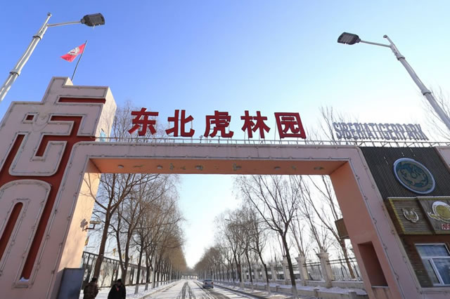 哈尔滨适合亲子游的地方,哈尔滨亲子游玩最佳地方