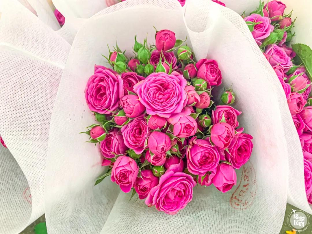 昆明鲜花进货渠道,昆明尚义花市