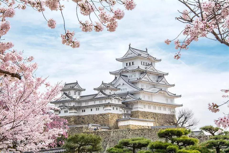 10个让人震惊的冷知识,十个让人惊艳的冷知识